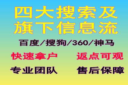 SEM托管公司成功案例：助力企业快速成长